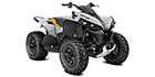 2025 Can-Am Renegade 650