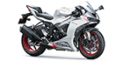 2025 Kawasaki Ninja ZX-6R Base