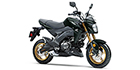 2025 Kawasaki Z125 PRO Base