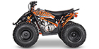 2025 Kayo Predator 110