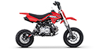 2025 SSR Motorsports SR110 SE