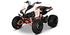 2026 Kayo Storm 300 EFI