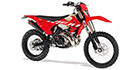 2026 Rieju MR RACING 300i