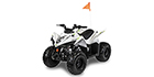 2027 Arctic Cat Alterra 110 2x4