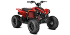 2027 Can-Am Renegade 110 EFI