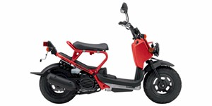 2009 Honda Ruckus Base