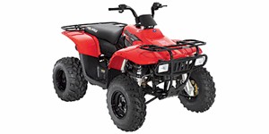 2009 Polaris Trail Boss 330