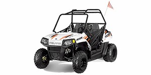 2013 Polaris RZR 170