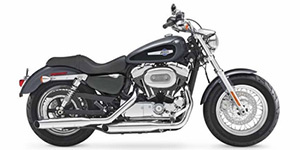2014 Harley-Davidson Sportster 1200 Custom