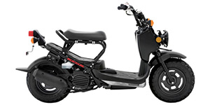 2015 Honda Ruckus Base