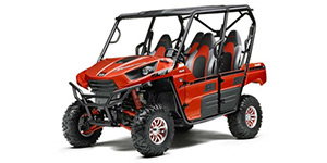 2015 Kawasaki Teryx4 LE