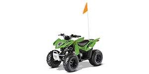 2017 Arctic Cat 90 DVX