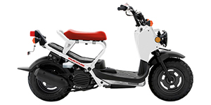 2019 Honda Ruckus Base