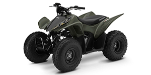 2017 Honda TRX 90X