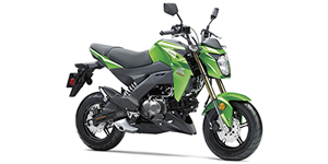 2017 Kawasaki Z125 PRO Base