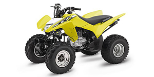 2018 Honda TRX 250X