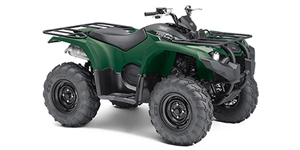 2019 Yamaha Kodiak 450