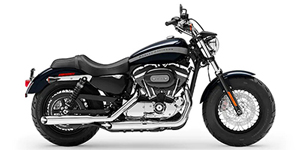 2019 Harley-Davidson Sportster 1200 Custom