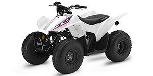 2019 Honda TRX 90X