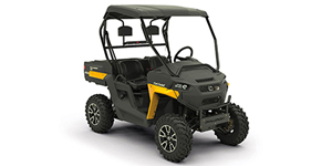 2021 Cub Cadet Challenger 400 Base