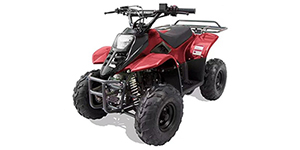 2022 Bennche Hawk 110