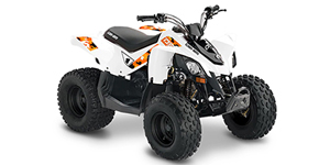 2022 Can-Am DS 90