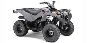 2021 Yamaha Grizzly 90