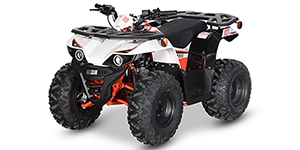 2025 Kayo Bull 125 EFI
