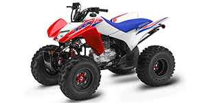 2025 Honda TRX 250X