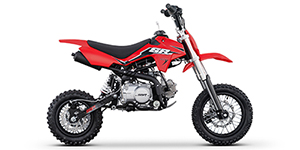2025 SSR Motorsports SR110 SE