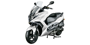 2026 Wolf Brand Scooters V300i Base