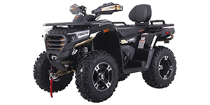 2026 Denago Powersports Freelander 300FI